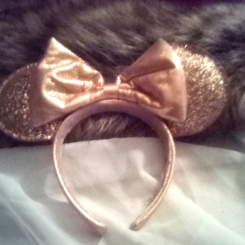 Walt Disney Mickey mouse ears been kept in a Ziploc bag leather sequence stays